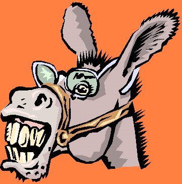 pony logo